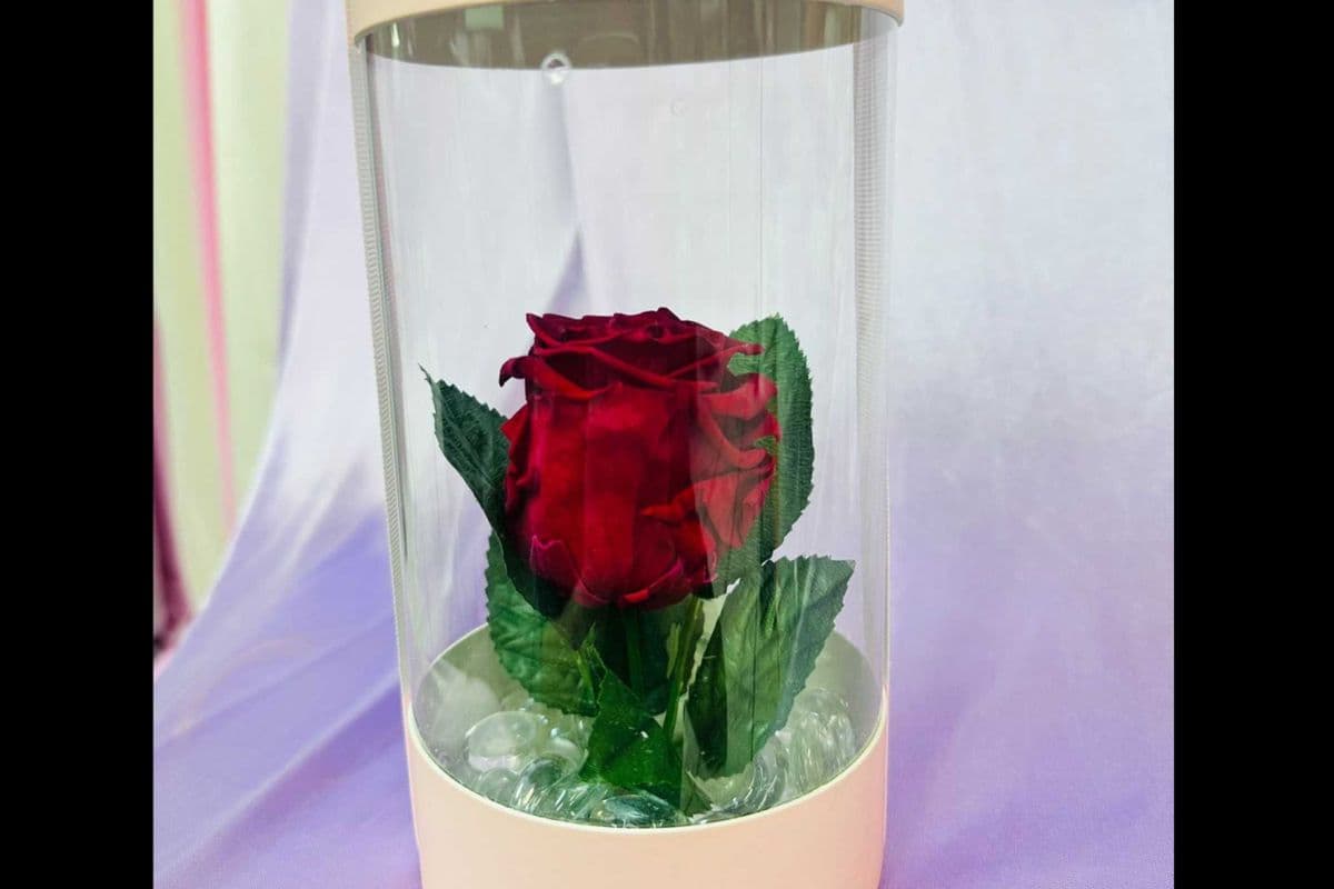 Forever Rose in Cylindrical Gift Box (Red, Pink or Blue Roses)
