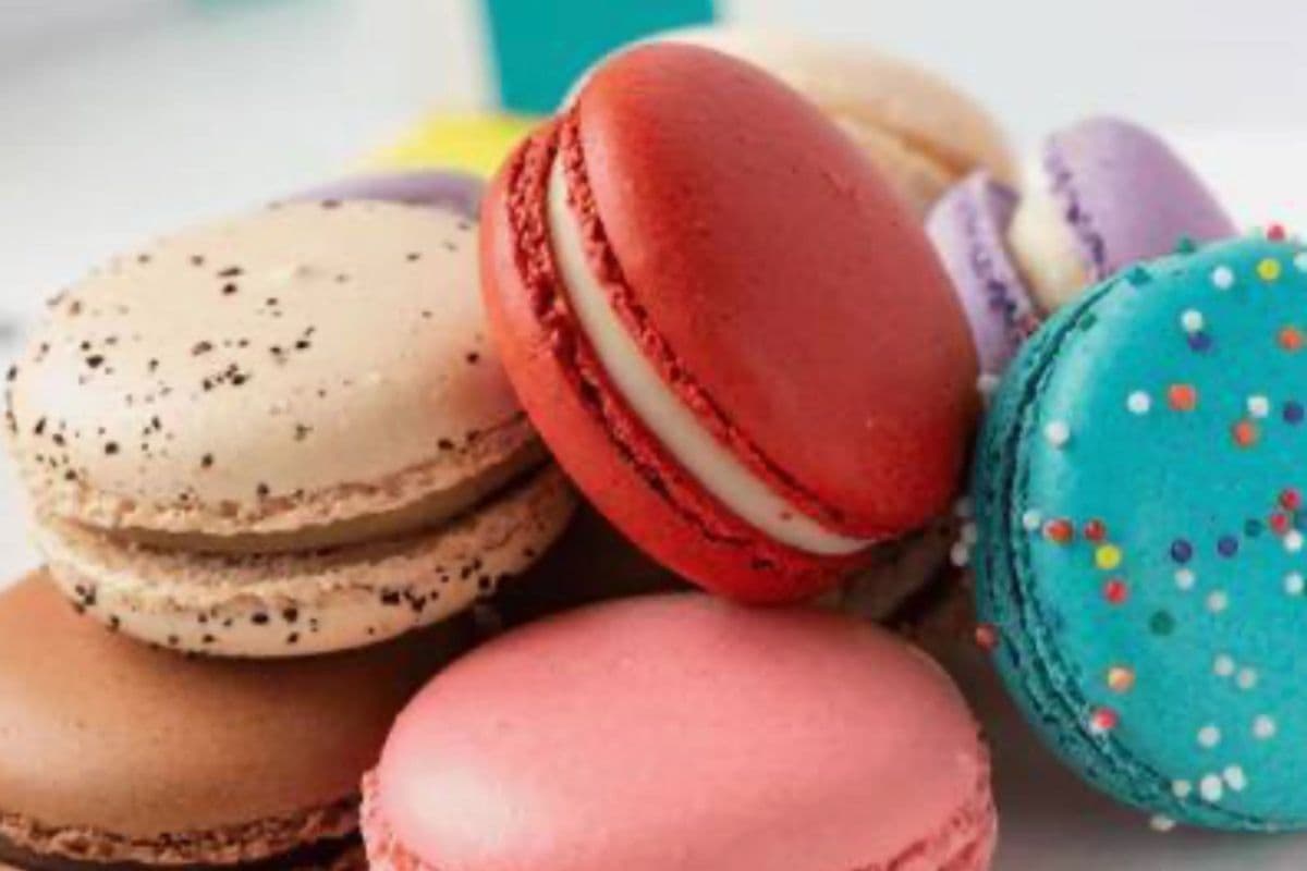 Single - Macaron