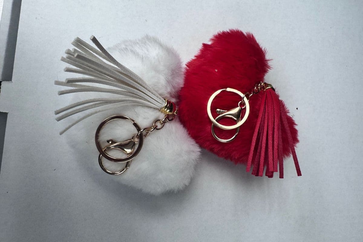 Heart Key Chain