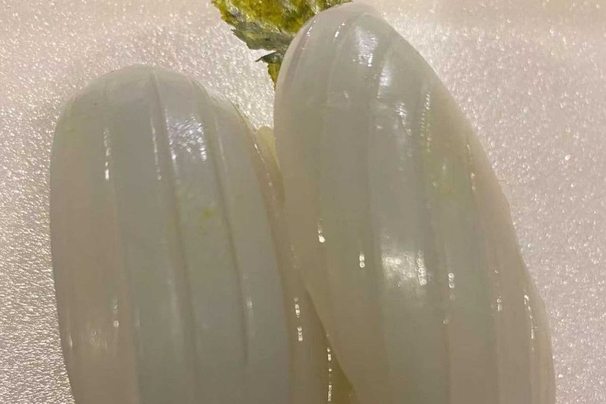 Squid (Ika) Nigiri