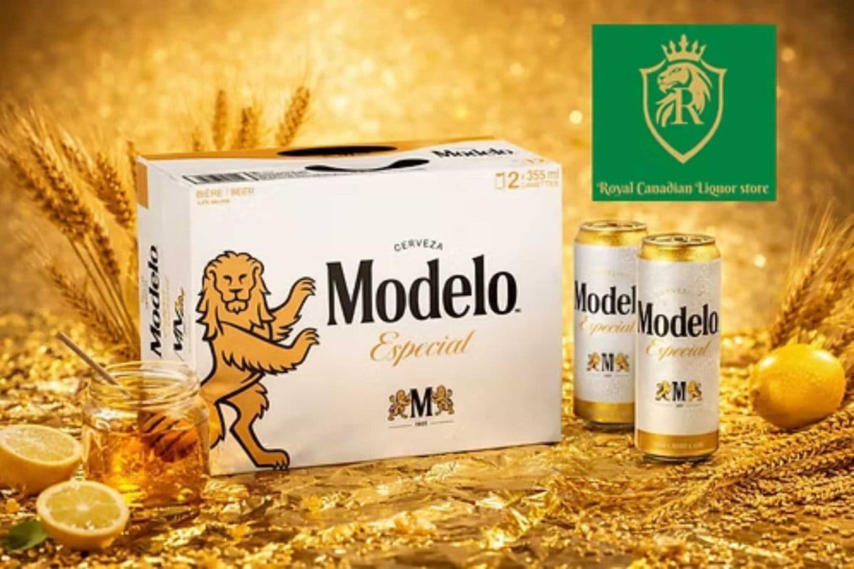 MODELO ESPECIAL (12 x 355ML)