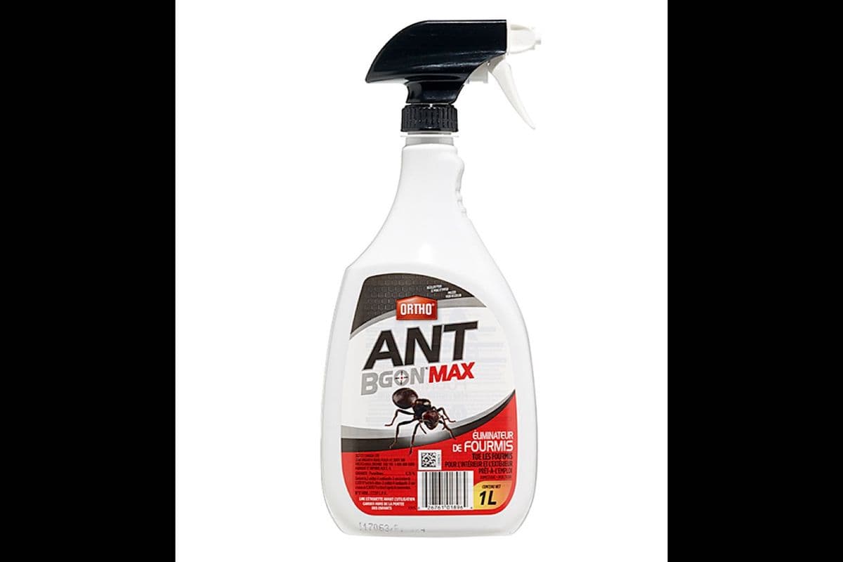 Ant Bgon Max - Éliminateur de fourmis / Ant Eliminator (1 L)