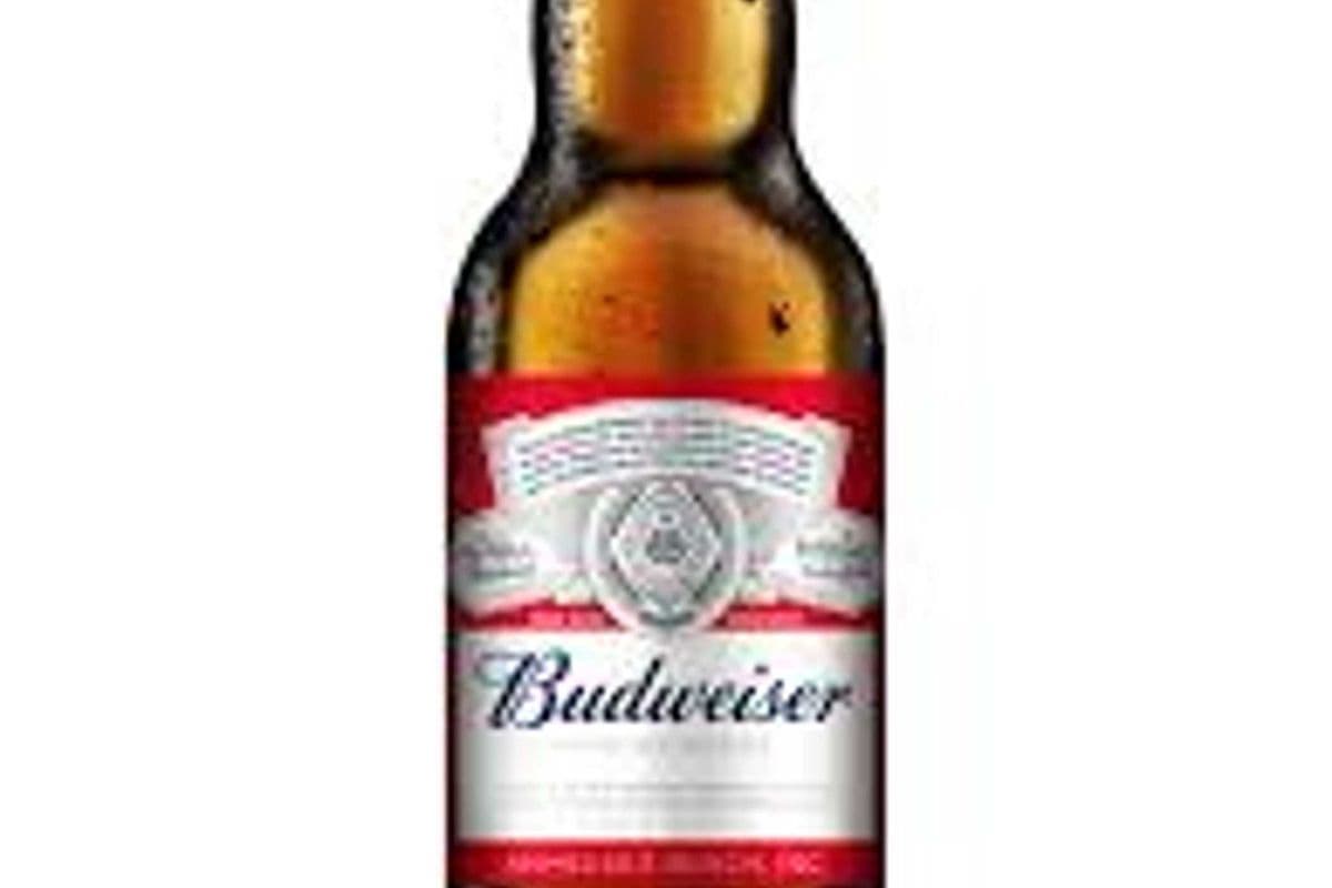 Budweiser (1 x 341 ml Bottle)
