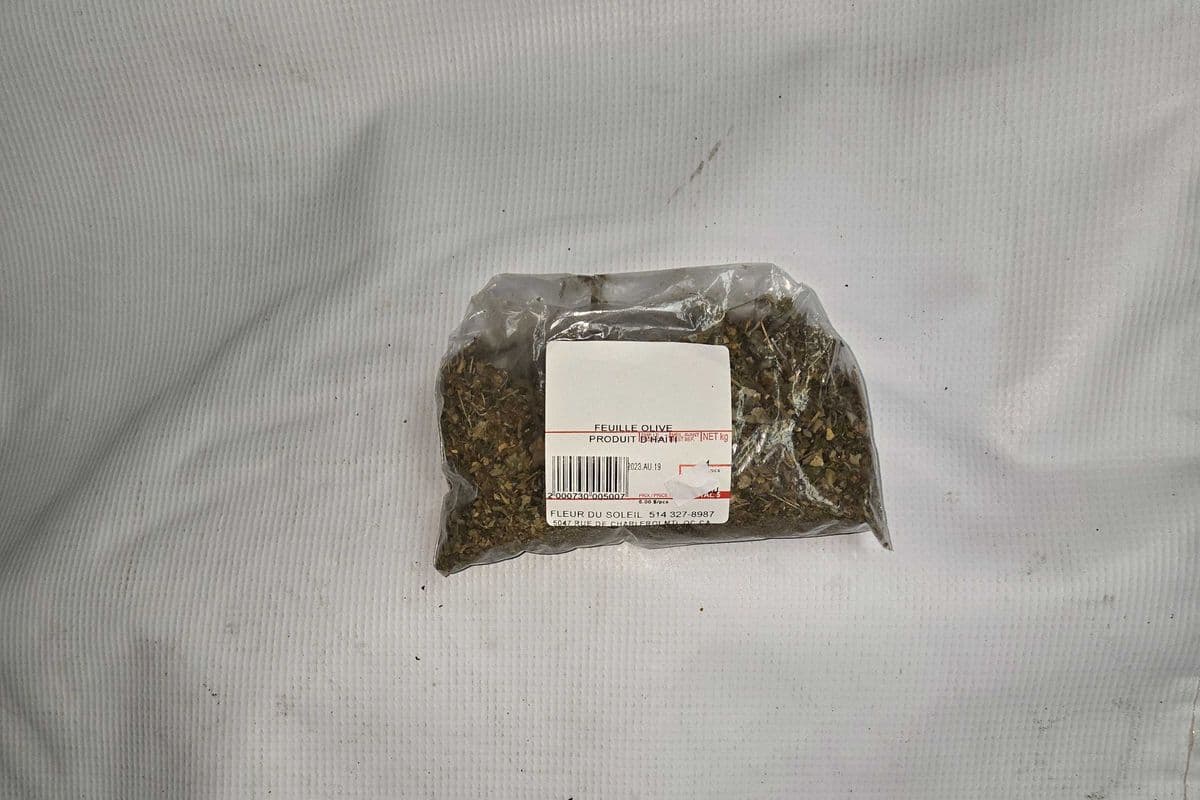 FEUILLE OLIVE