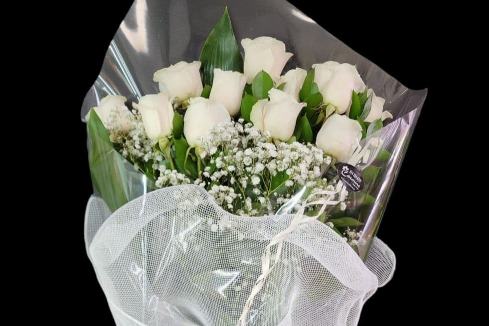 Douzaine de roses blanches / Dozen White Roses