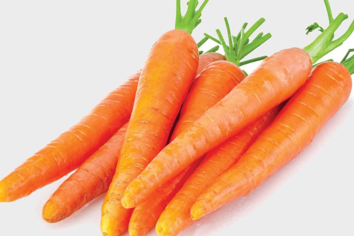 Fresh Carrot- Bagged