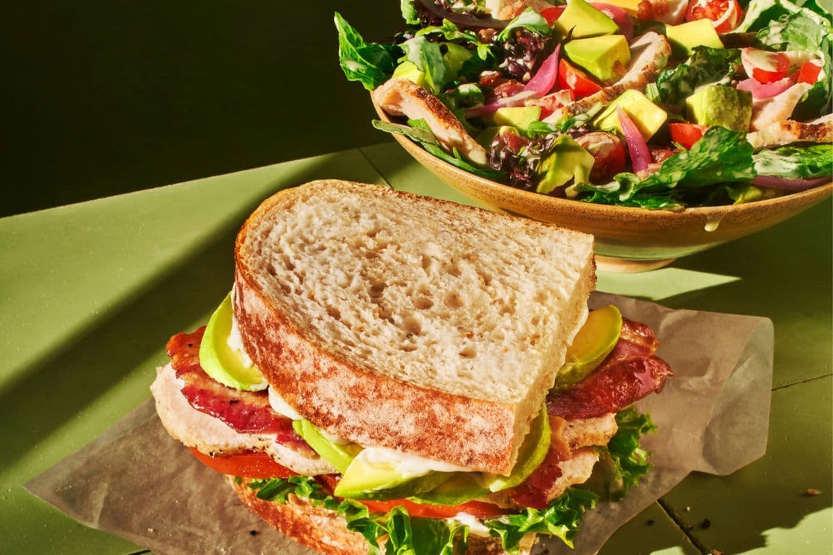 Sandwich and Salad
