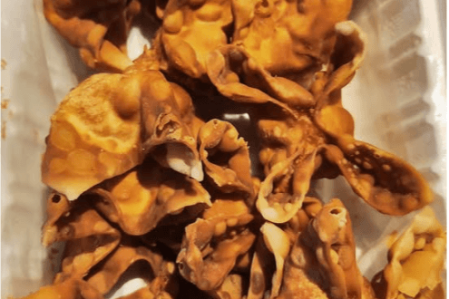 CHICKEN WONTONS APP