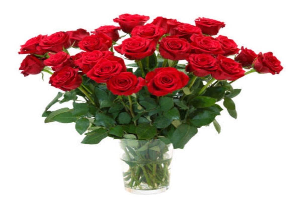 Blossoms of Adoration Red