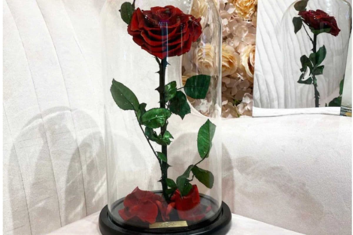 Eternity Rose in Enchanted Glass Dome