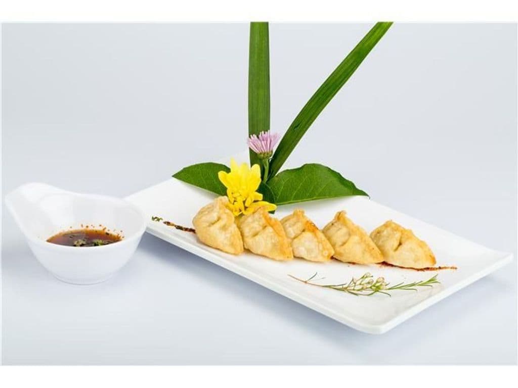 Deep Fried Dumpling