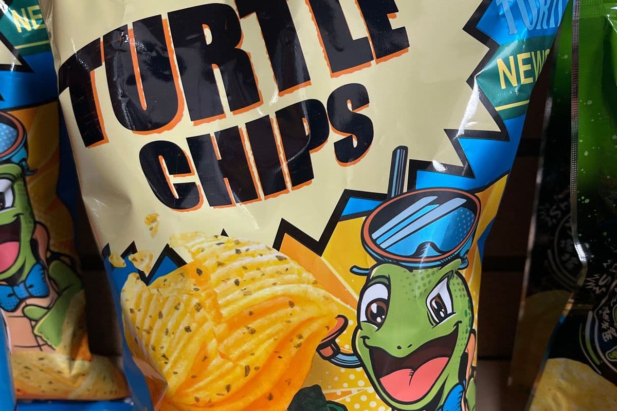 ORION Seaweed Flavour Turtle Chips