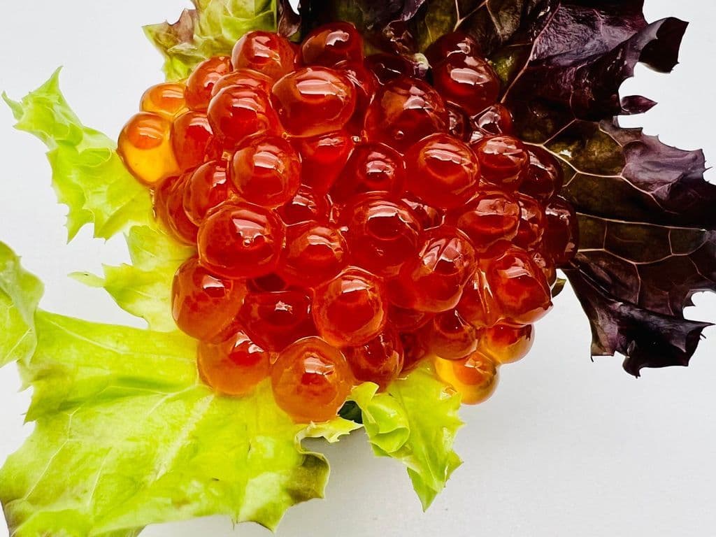17S IKURA/SALMON ROE