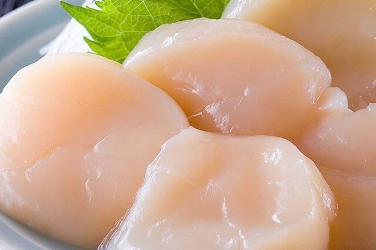 Scallop (Hotate Gai)