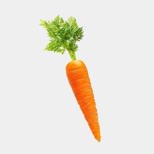 Carottes / Carrots