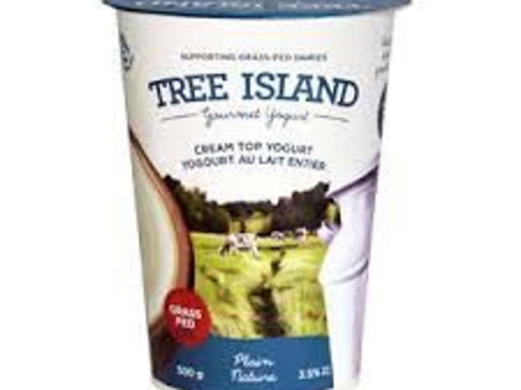TREE ISLAND CREAM TOP YOGURT PLAIN 500G