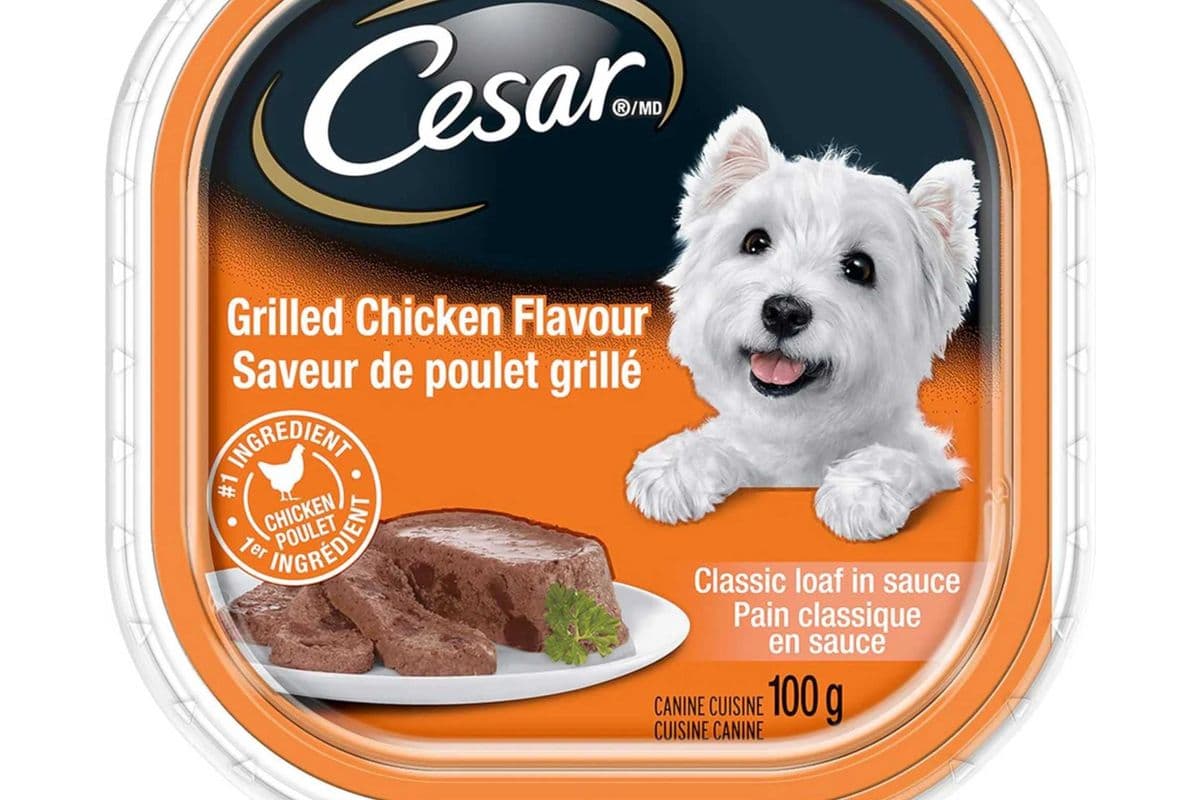 Cesar Grilled Chicken