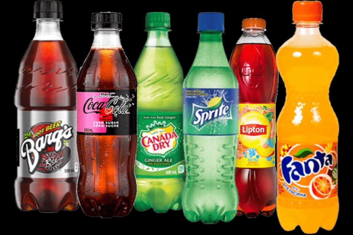 Bottle (500 ml)