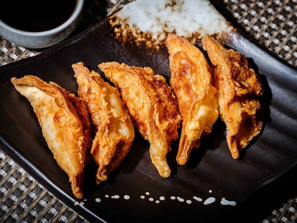 Deep Fried Dumplings