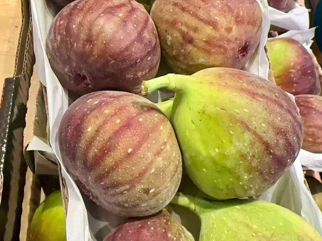 Fresh figs 8pcs