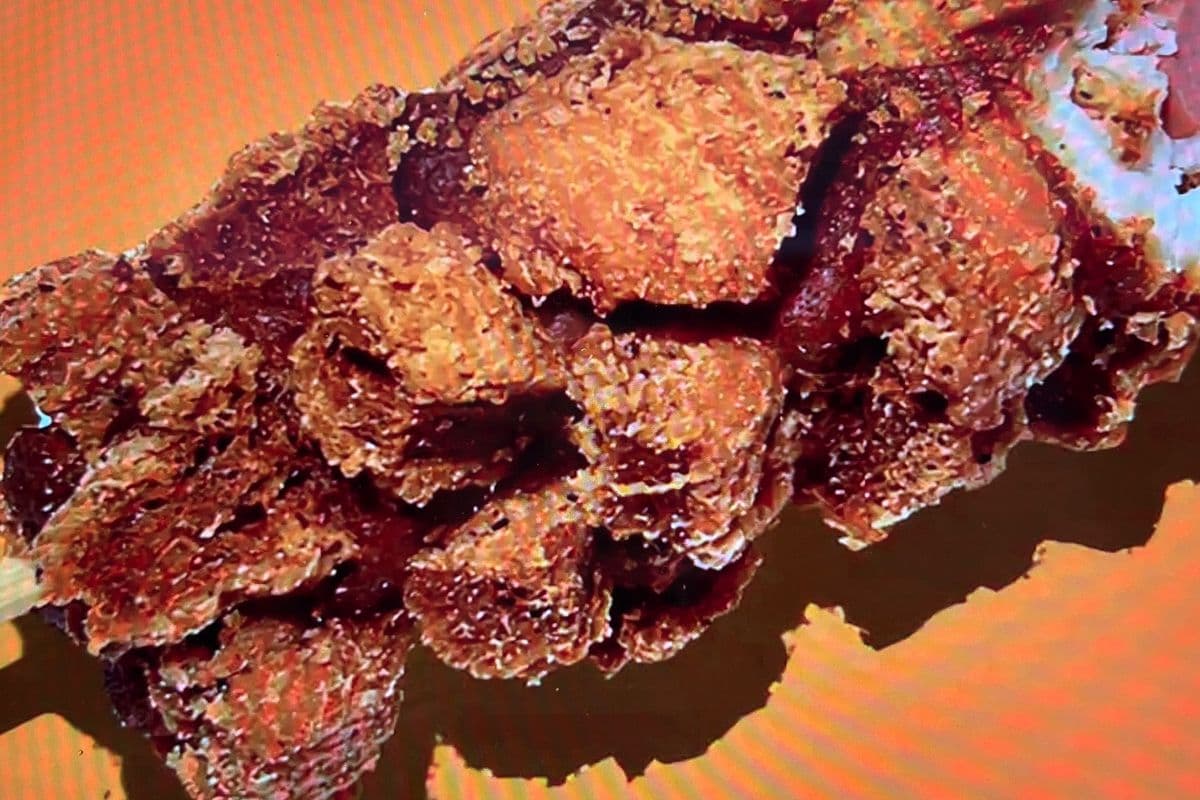 12. Kogo aux Pépites de Poulet / Chicken Nugget Kog