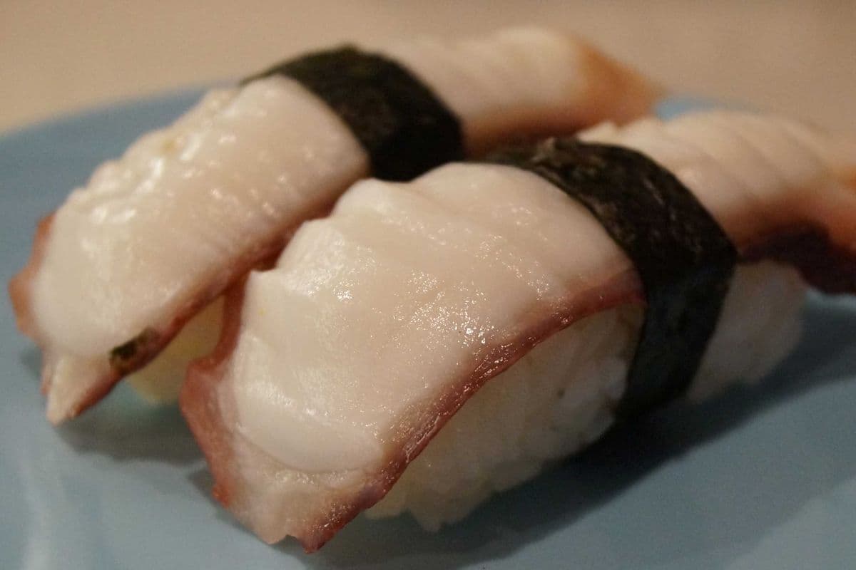 Tako Nigiri