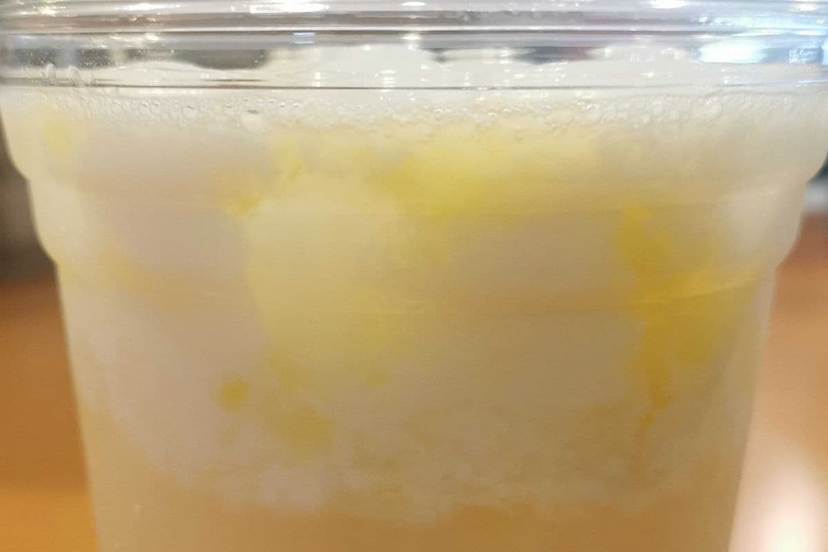 Pineapple Paradise