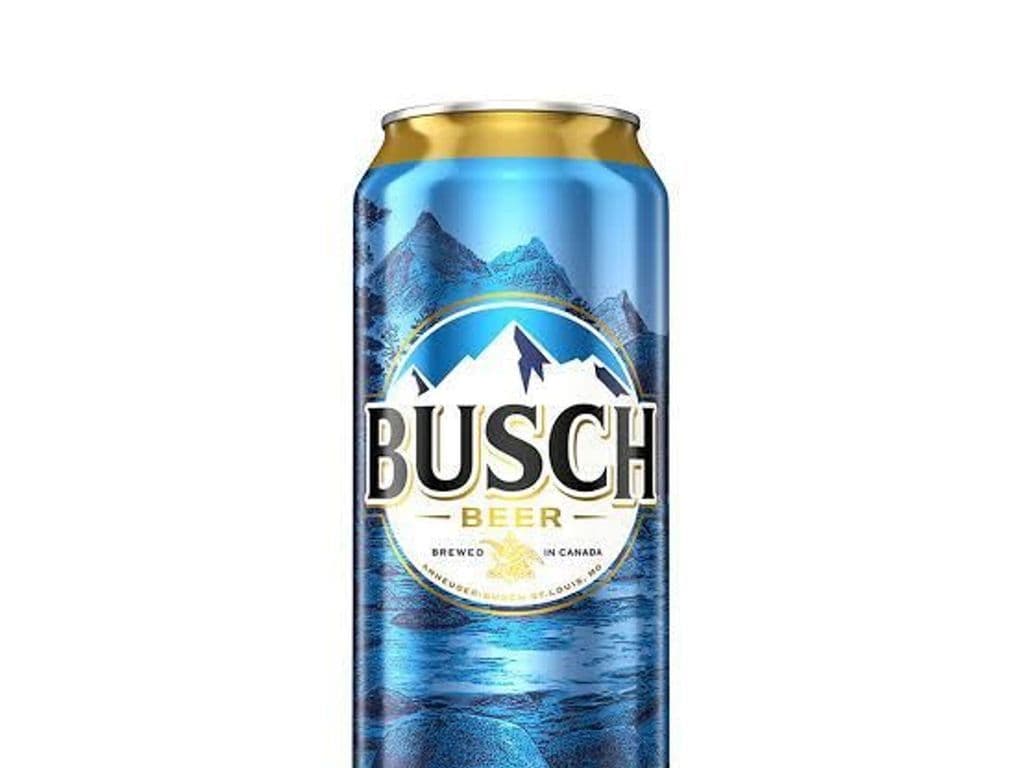BUSCH Single Can, 473ml