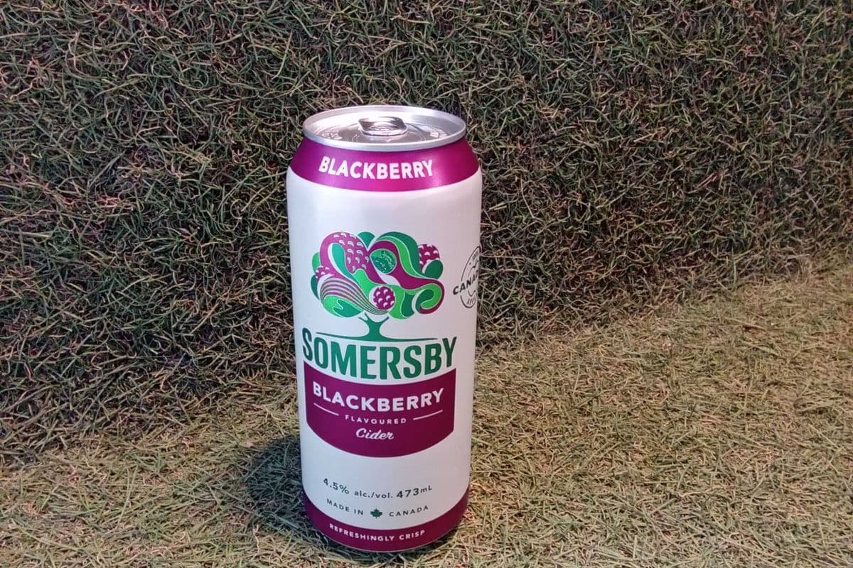 Somersby Blackberry Cider (1 x 473 ml)