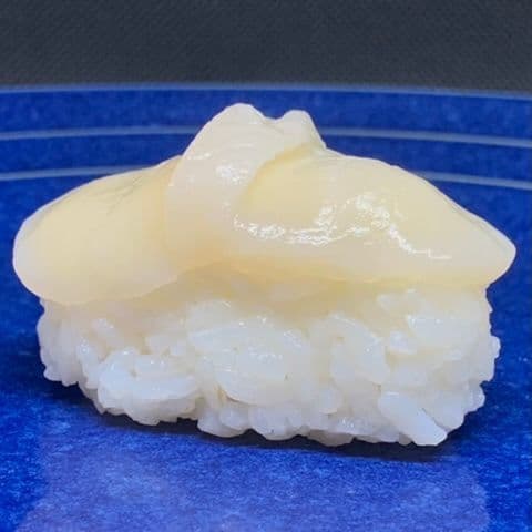 Hotategai/ Pétoncle
