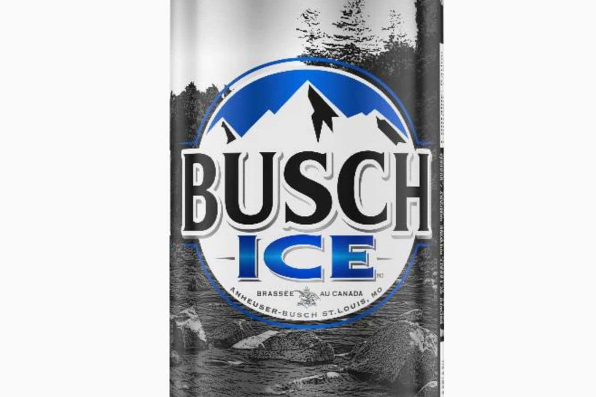 Busch Ice (1 x 473 ml)