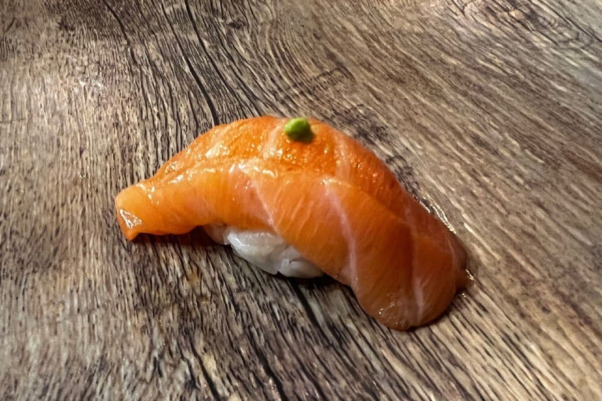 Salmon