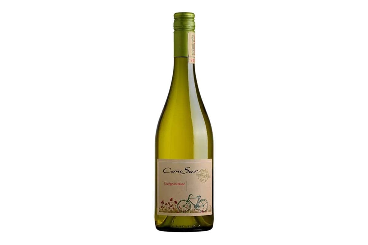 Cono Sur Organic Sauvignon Blanc (1 x 750 ml)