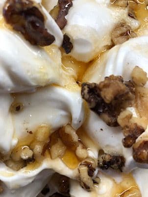 Yogurt Grecque Miel Et Noix/Greek Yogurt Honey & Nuts 