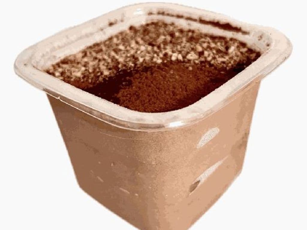 Tiramisu - Nutella - Feeds 2!