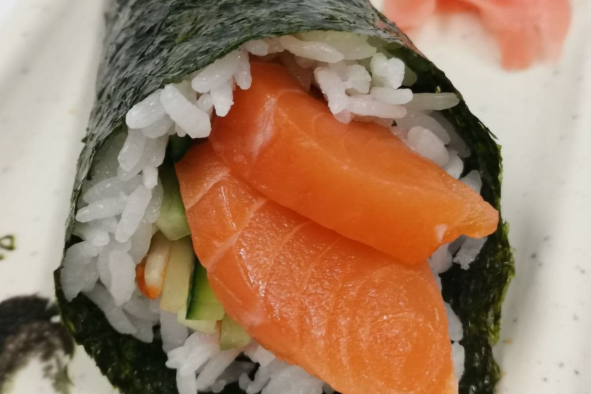 Salmon Cone
