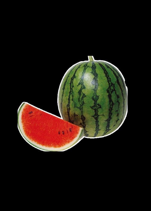 J4. Watermelon Juice
