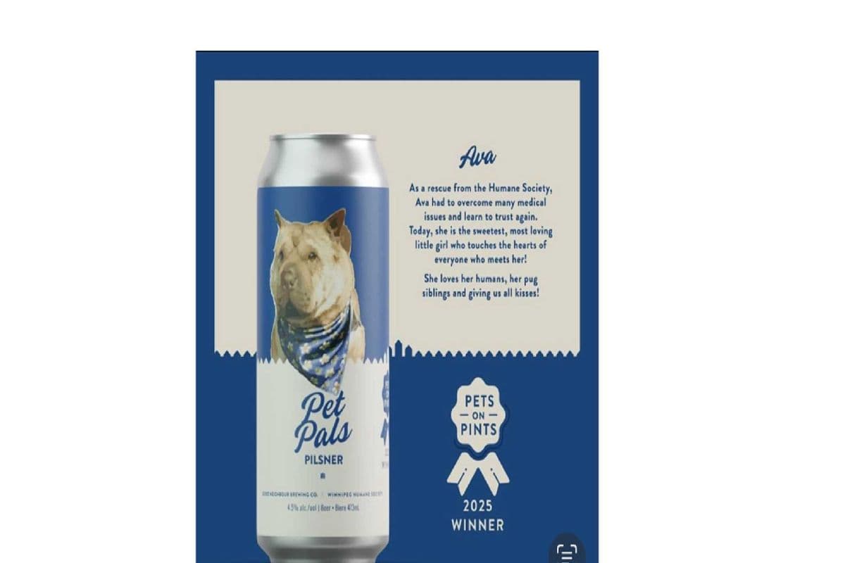 Good Neighbour Brewing Pet Pals Pilsner (4 x 473 ml can)