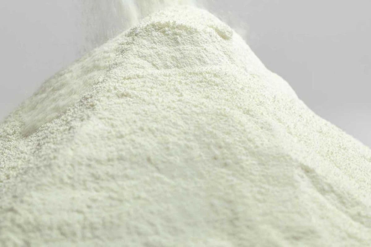 Premium Plain Tart Froyo (250 g)