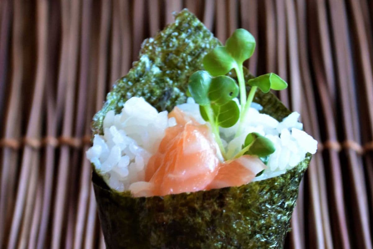 Salmon Cone