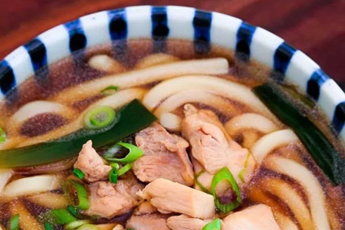Grilled Chicken Udon