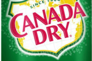Ginger Ale- Canada Dry