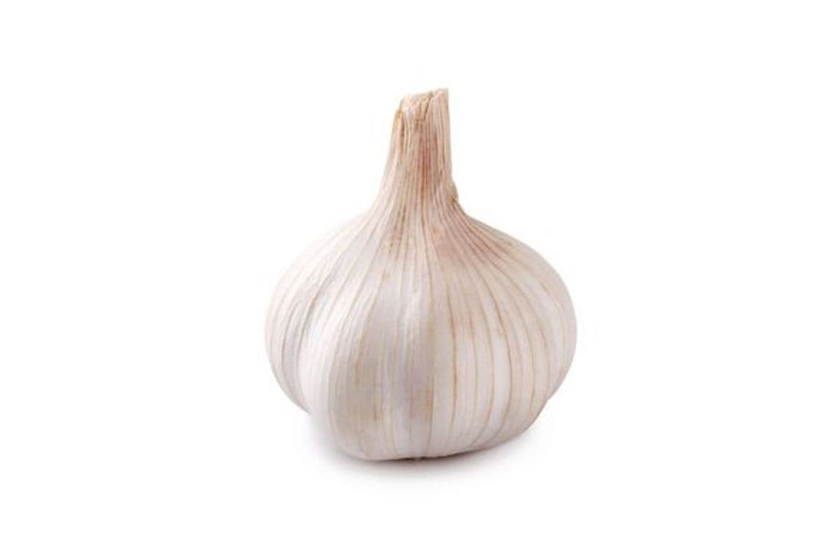 Garlic (1 Count)