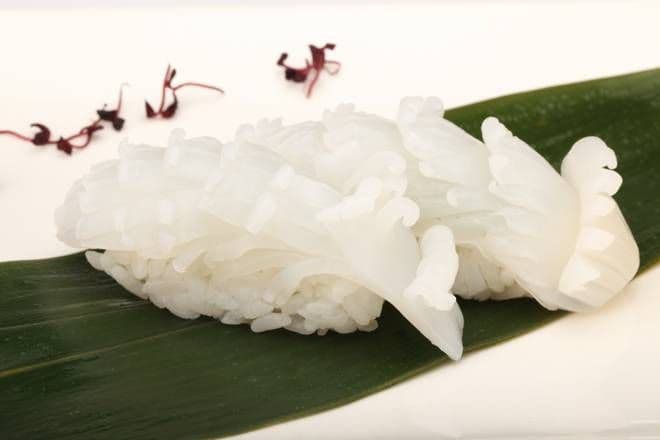 Cuttlefish