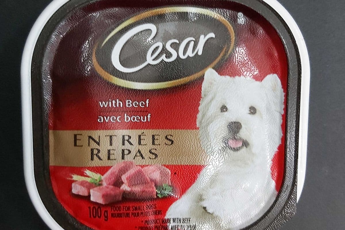 <Chats et Chiens> Cesar recette au boeuf (rouge)/ With Beef