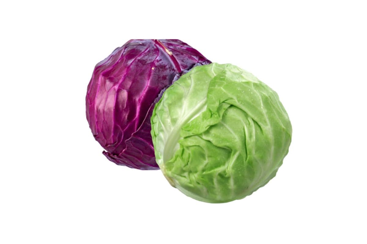 Cabbage (1 count )