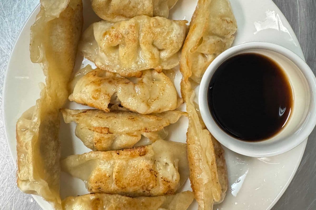 Pork Dumpling 猪肉煎饺