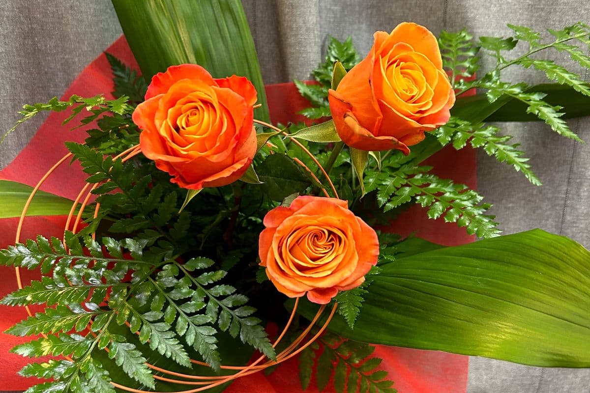 Sweet Kiss - Three Orange Roses