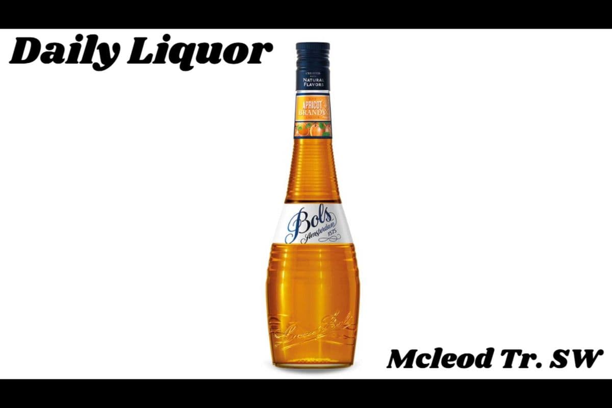 BOLS APRICOT BRANDY 750ML (1 x 750ML)