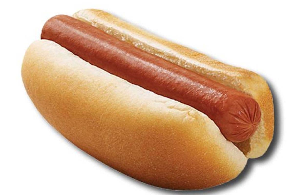 Plain Dog